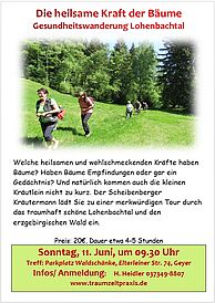 Kraft der Bäume - Gesundheitswanderung im Lohenbachtal mit H. Heidler am 11. Juni um 9:30 Uhr ab Waldschänke